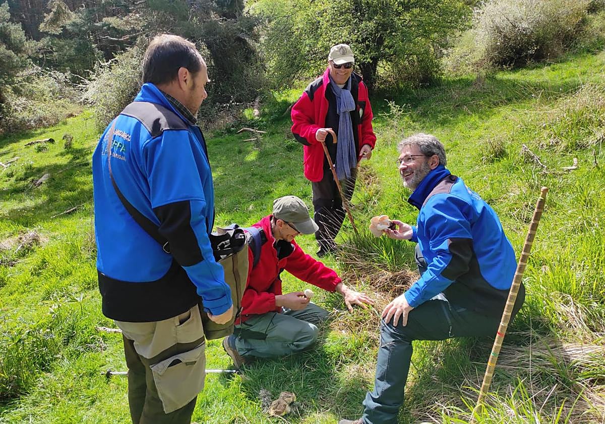 Los miembros de Verpa durante una salida de este año, al encontrar una seta.