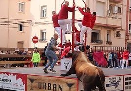 Las imágenes del domingo de fiestas en Arnedo