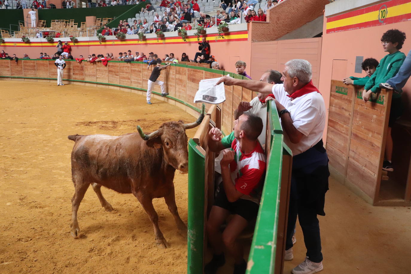 Las imágenes del domingo de fiestas en Arnedo