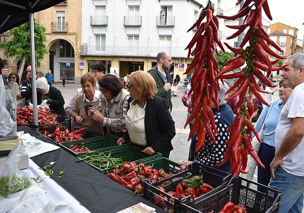 Las imágenes de la Feria del Pimiento y la Conserva de Calahorra
