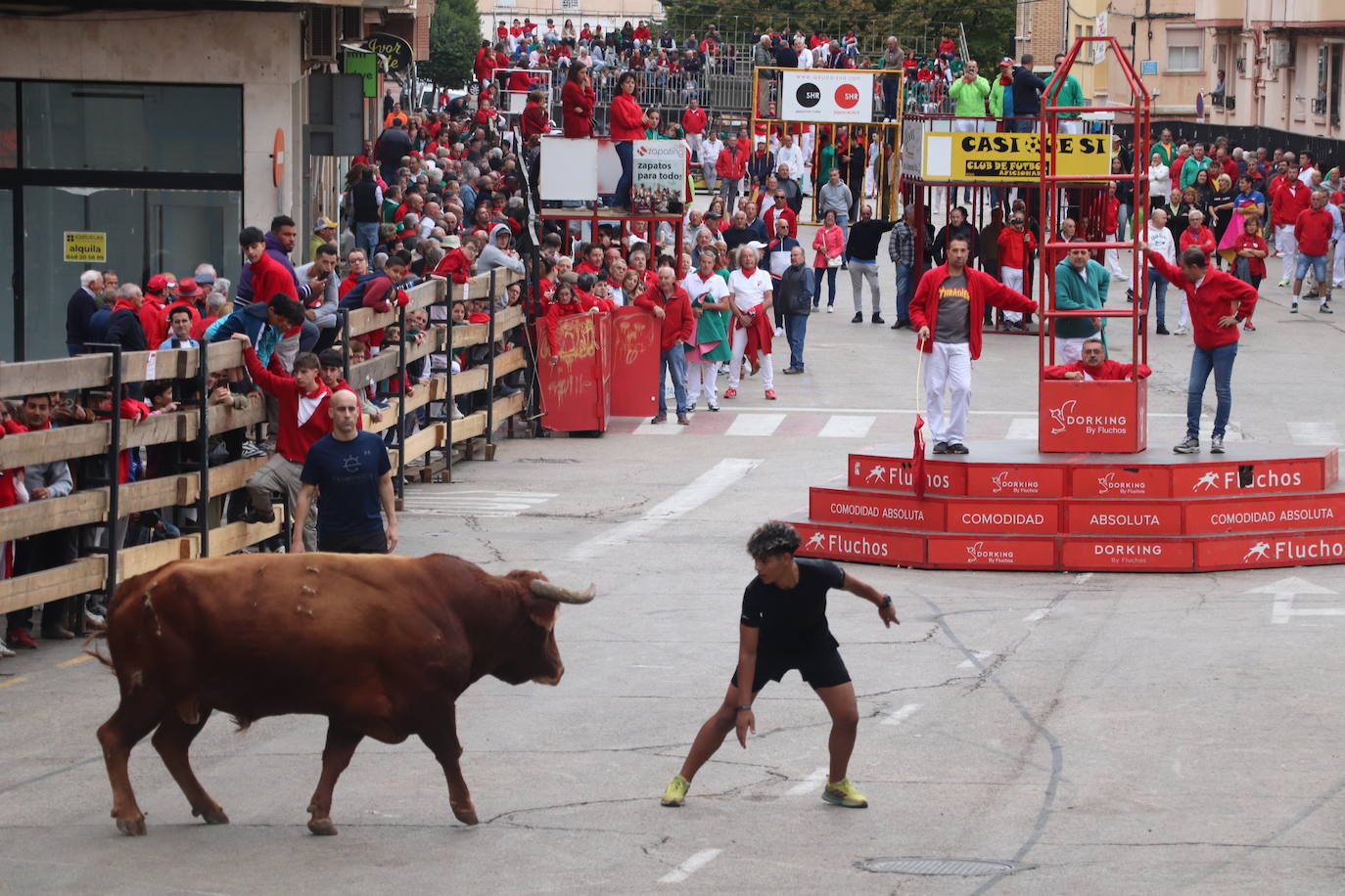 Las imágenes de las fiestas de Arnedo