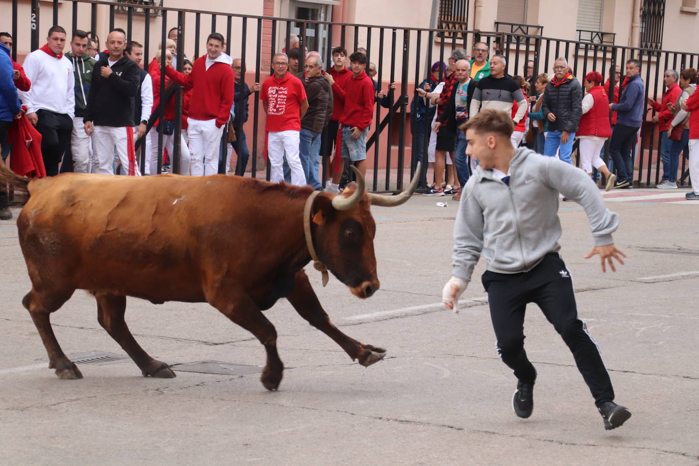Las imágenes de las fiestas de Arnedo