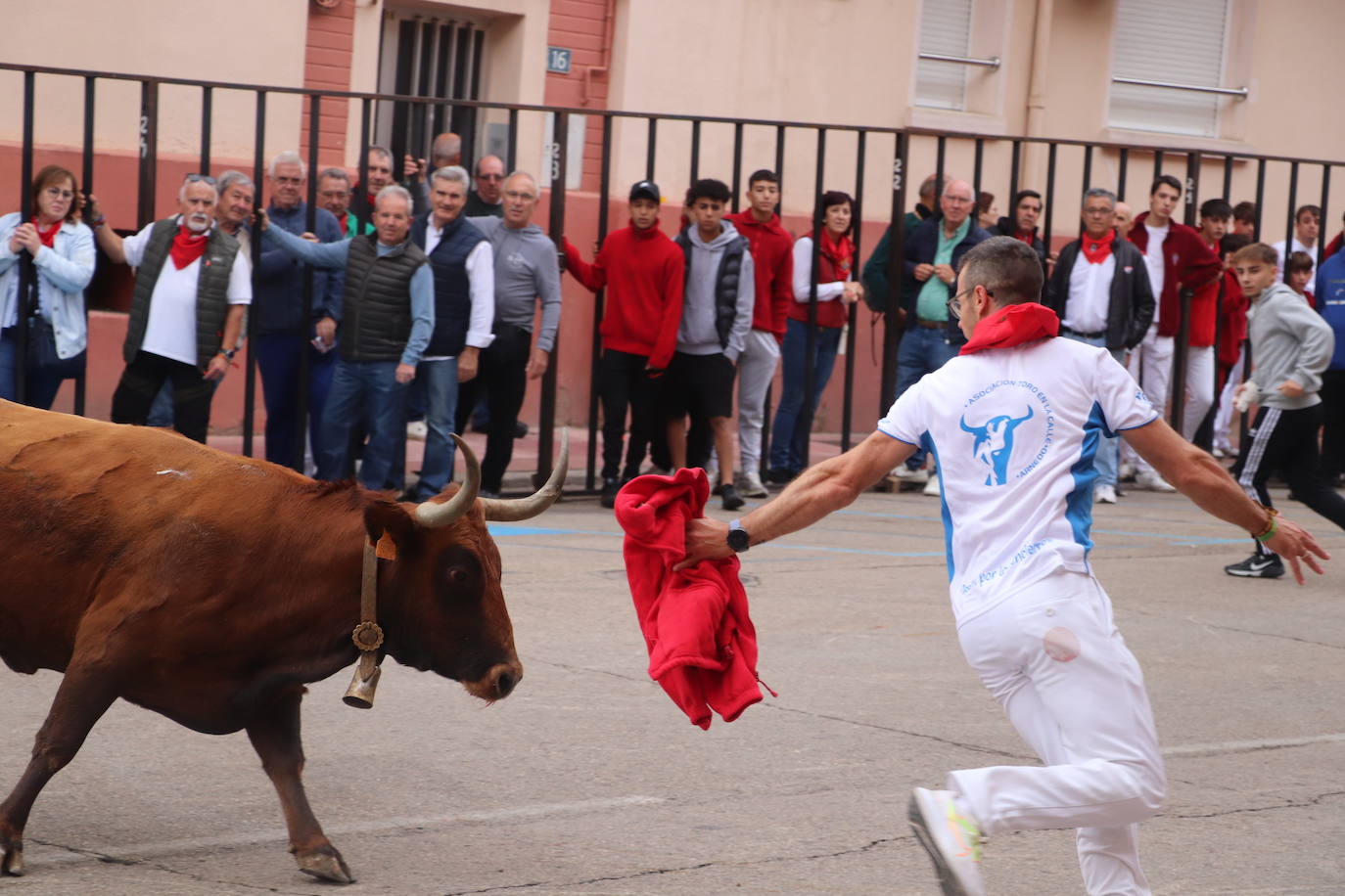 Las imágenes de las fiestas de Arnedo