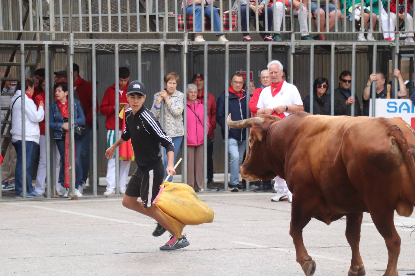 Las imágenes de las fiestas de Arnedo