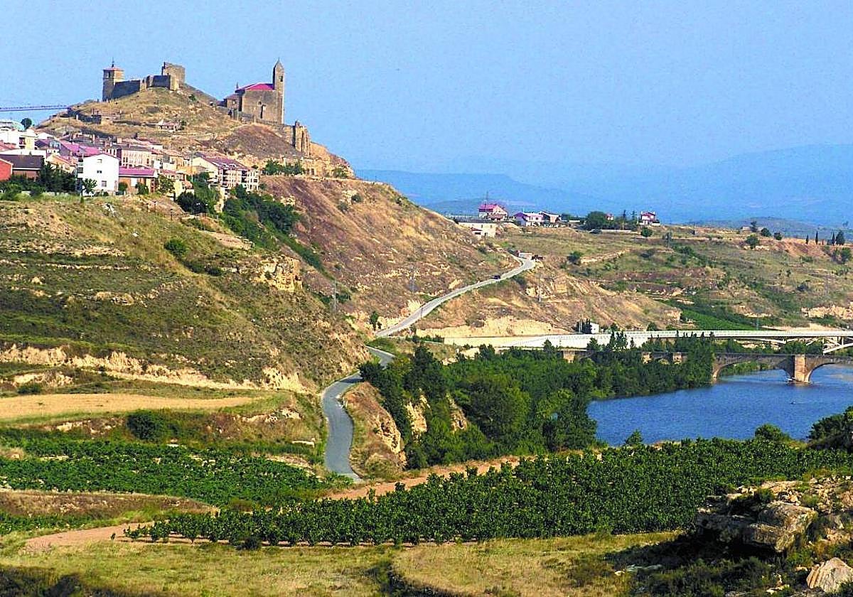 La 10ª marcha senderista 'Música entre viñedos' contará con dos recorridos en San Vicente