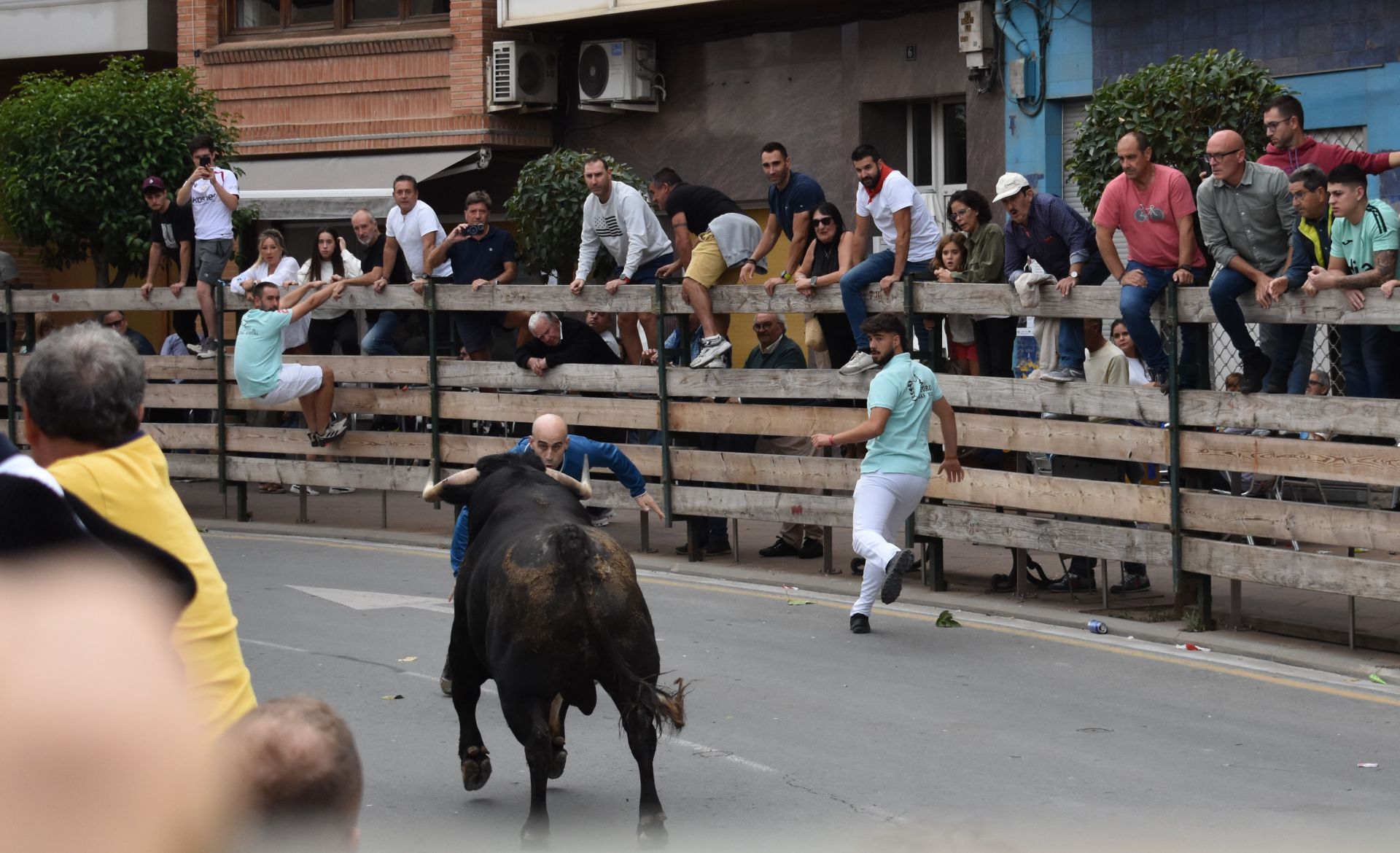 Las imágenes de las fiestas de Rincón de Soto