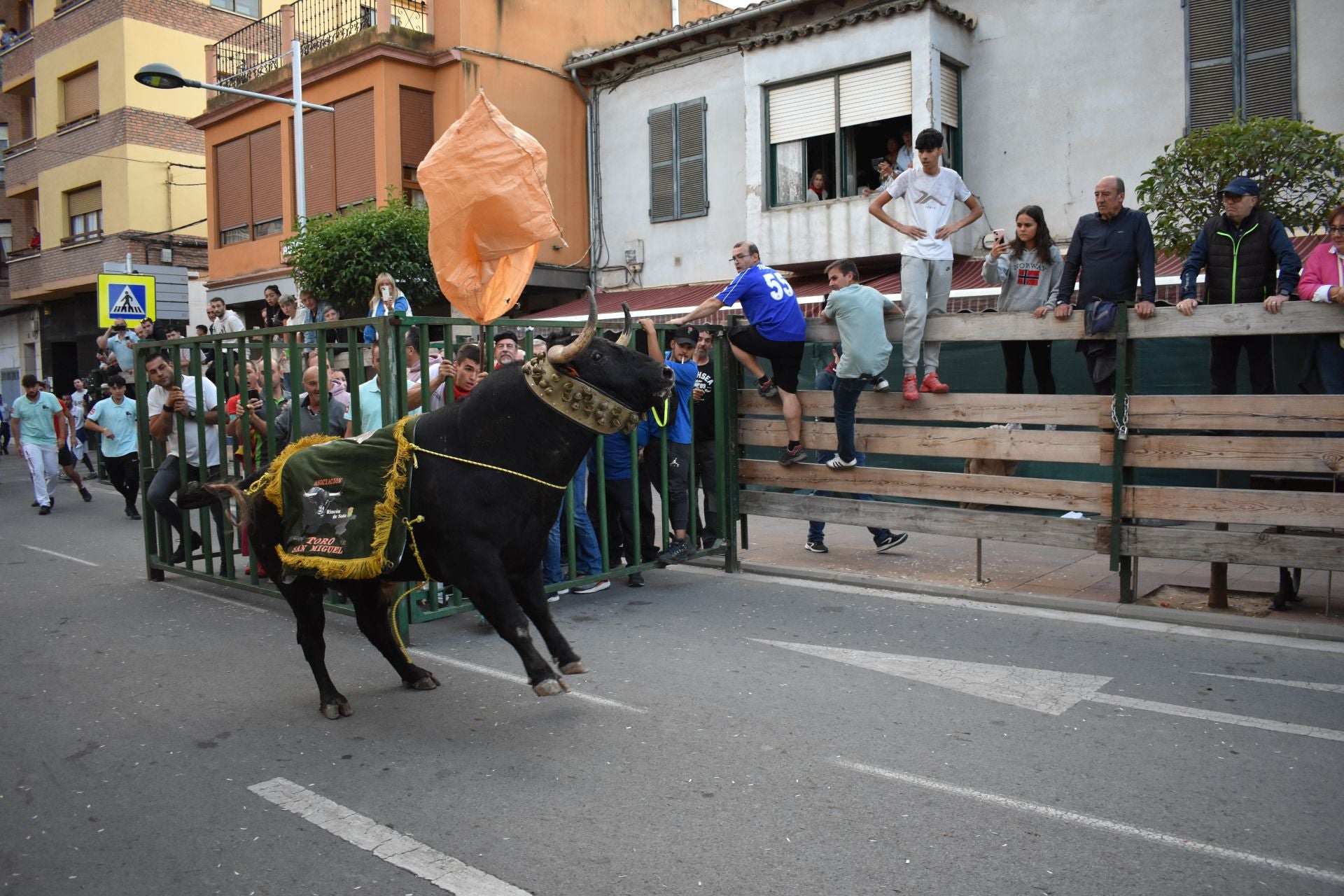 Las imágenes de las fiestas de Rincón de Soto
