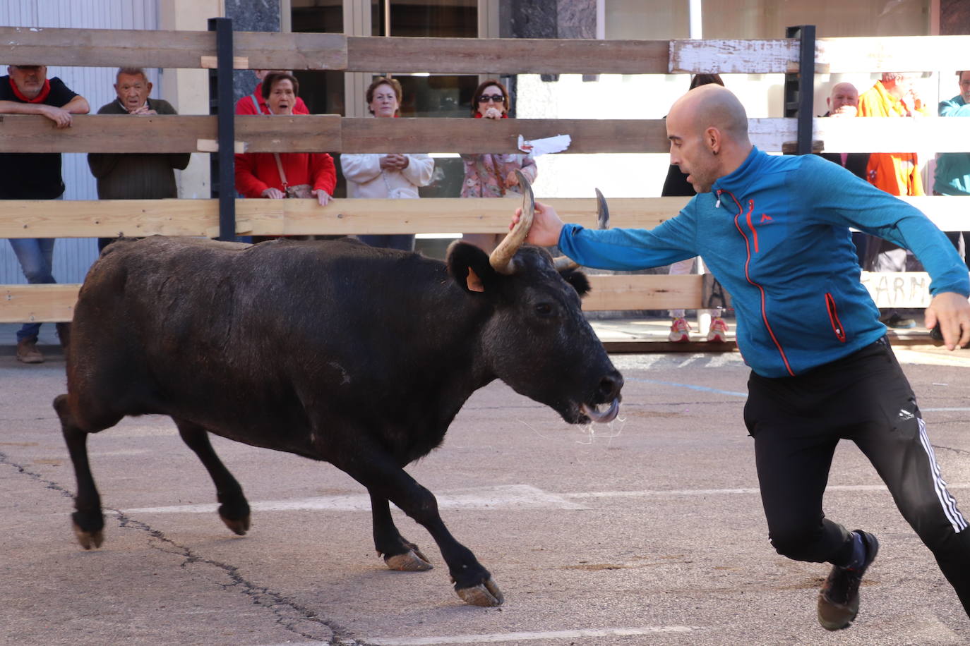 Charangas, degustaciones... Arnedo disfruta del penúltimo día de las fiestas