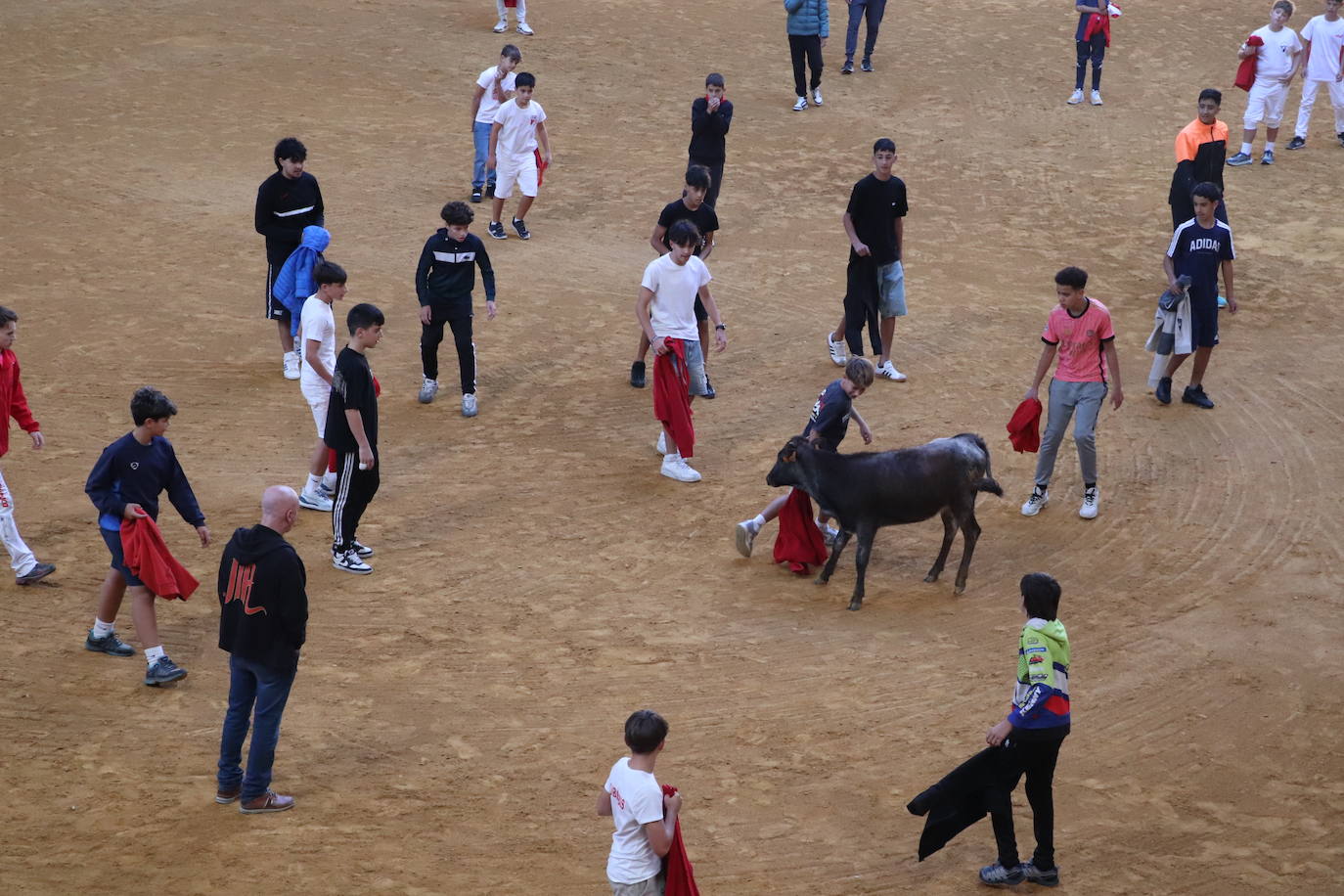 Charangas, degustaciones... Arnedo disfruta del penúltimo día de las fiestas