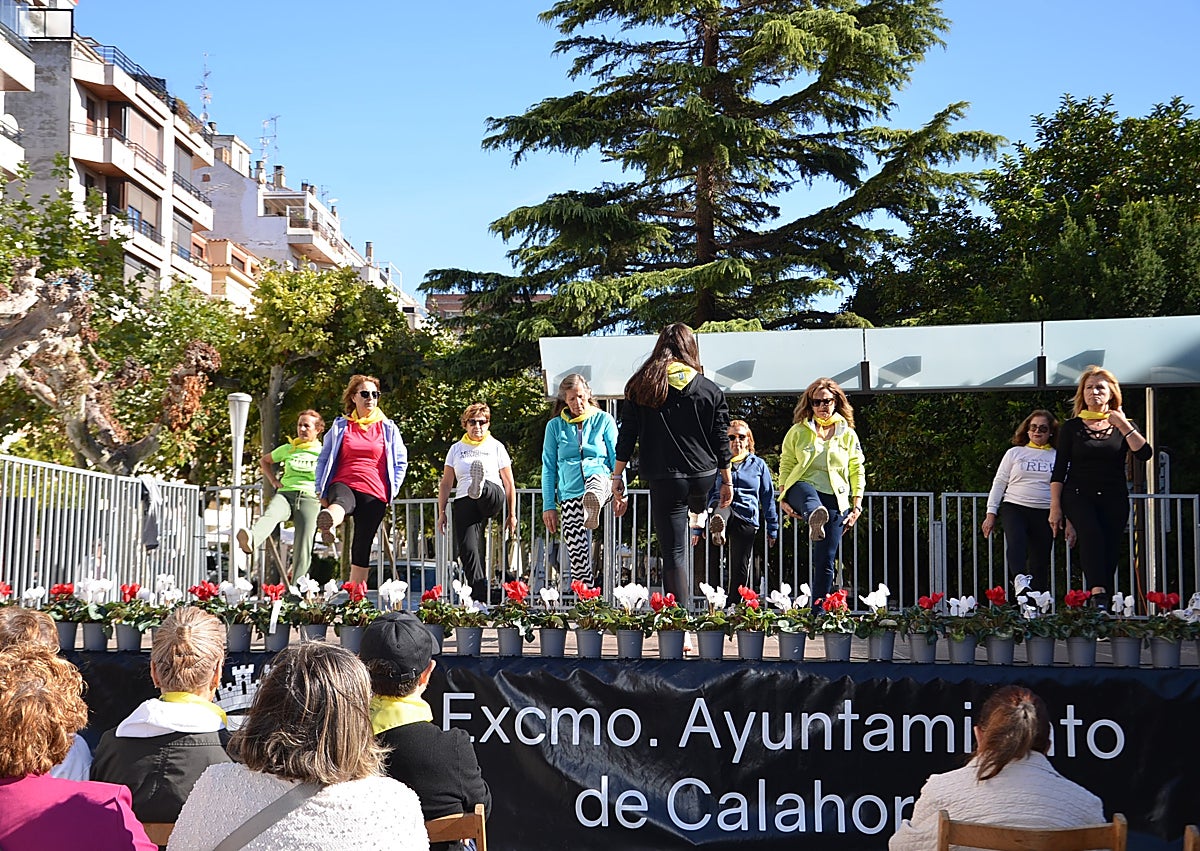 Imagen secundaria 1 - Entrega de placas a los centenarios; exhibición de las participantes del programa Verano Activo y la alcaldesa con Carmen Porres, la abuela más longeva de Calahorra.