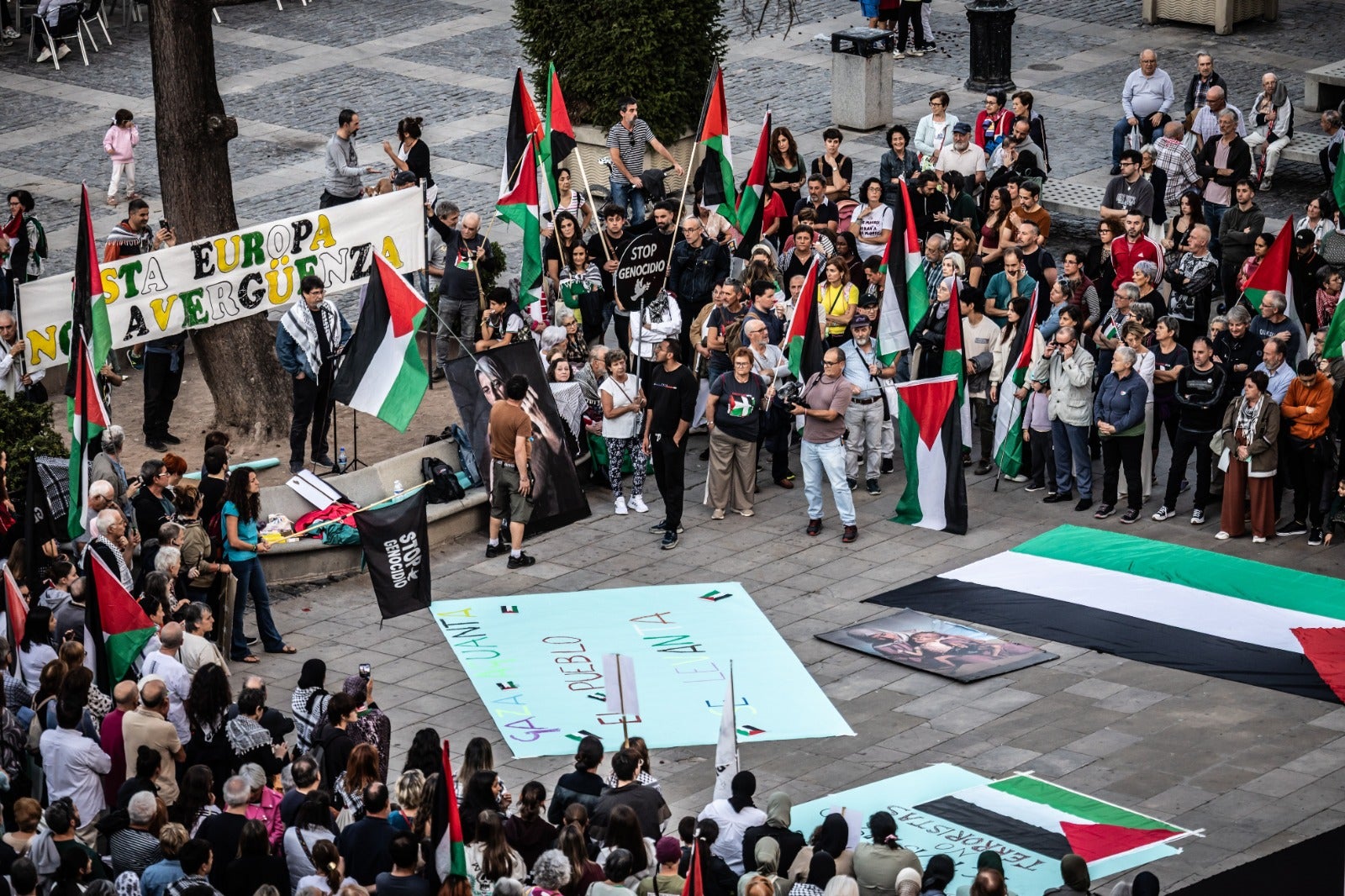 Manifestación en Logroño en apoyo al pueblo palestino