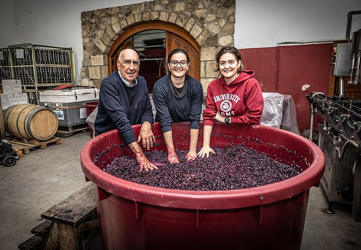 Imagen secundaria 1 - Corazones de viña