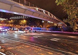 Lugar en el que se ha producido el atropello.