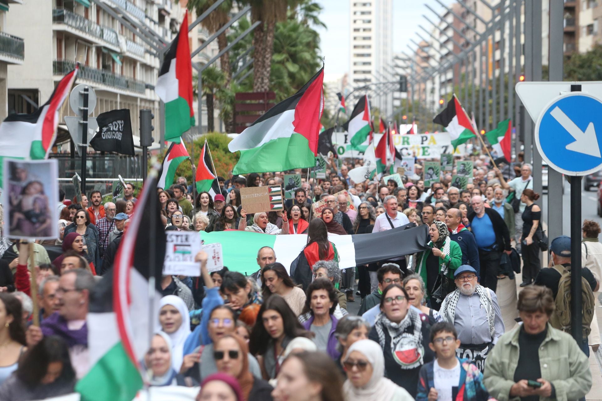 Manifestación de Logroño contra la guerra en Palestina