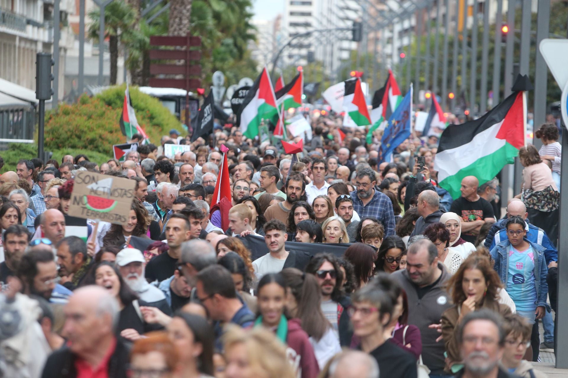 Manifestación de Logroño contra la guerra en Palestina