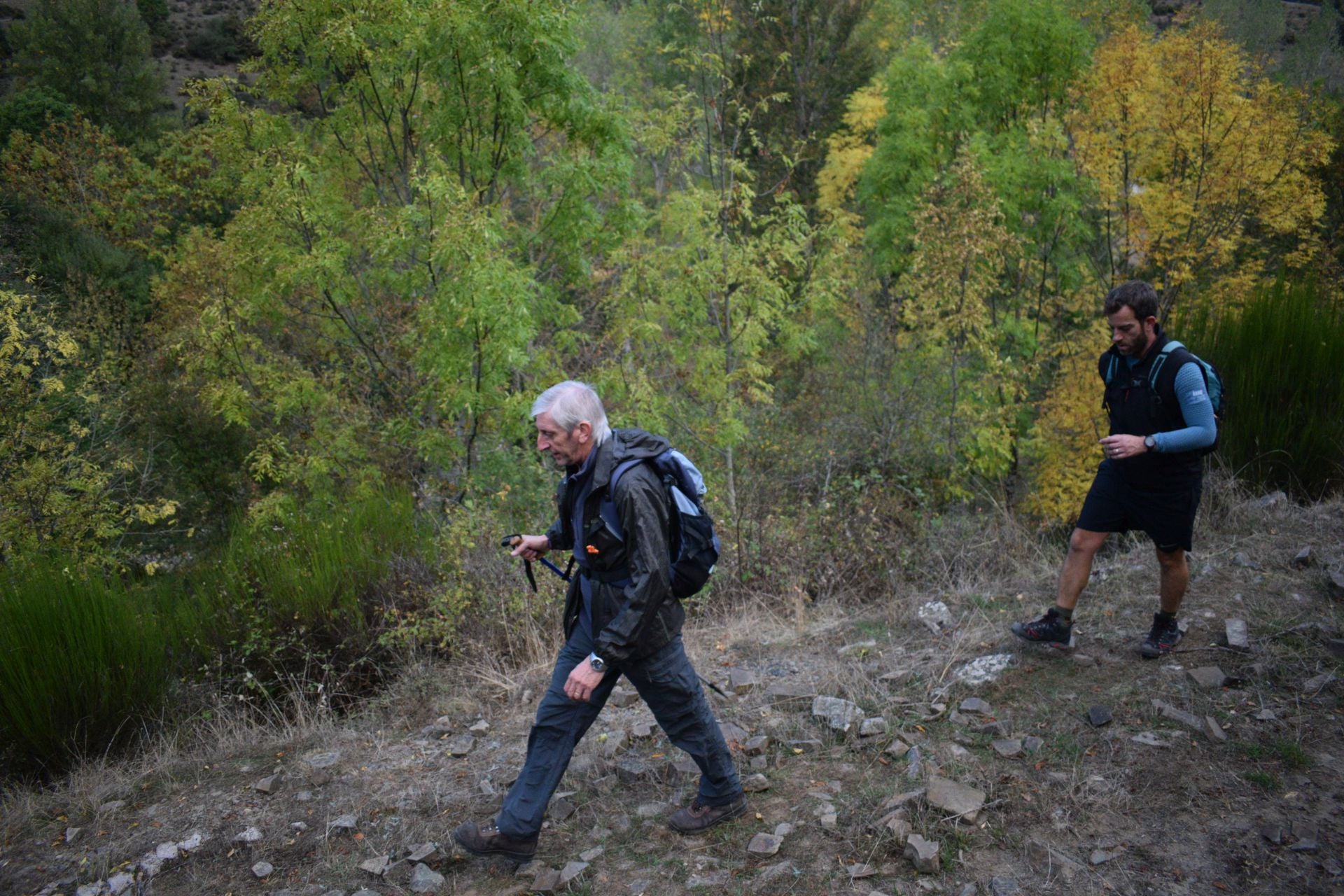Las imágenes de la Marcha Hoyos de Iregua