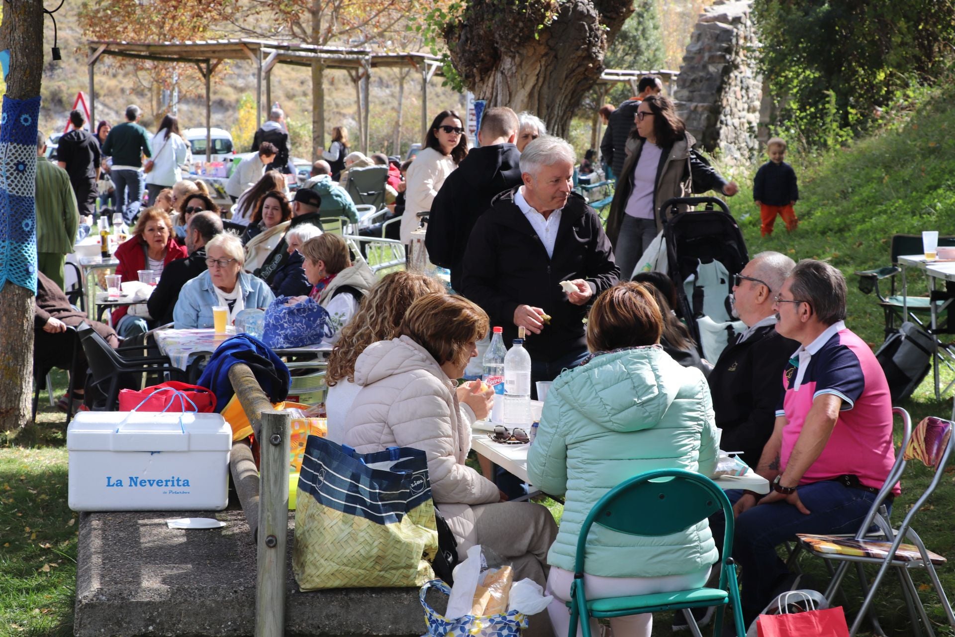 Las imágenes de la XXII Jornada de la Ternera Asada de Enciso