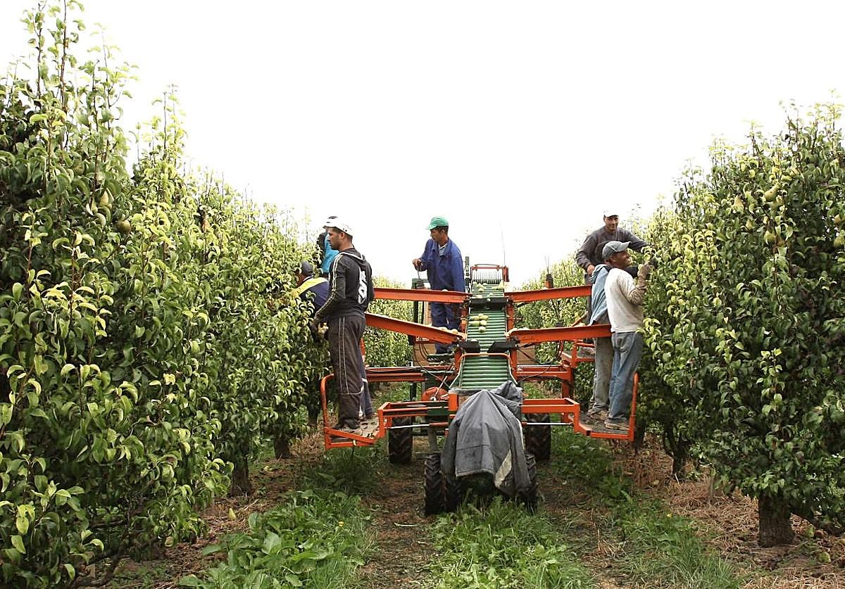 Trabajadores del campo, en una imagen de archivo.