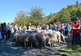 La XIX Fiesta de la Trashumancia, en imágenes