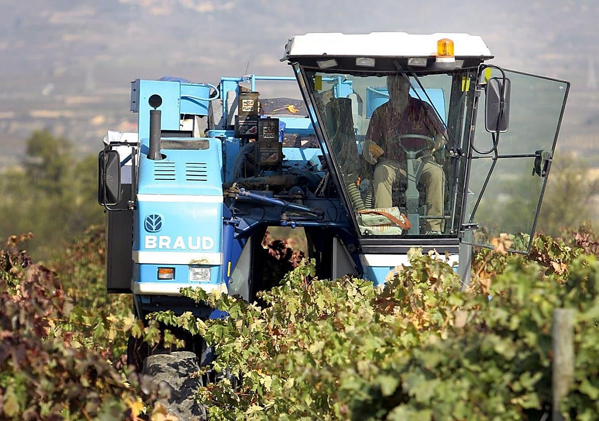Vendimia mecánica en un viñedo de La Rioja Alta.