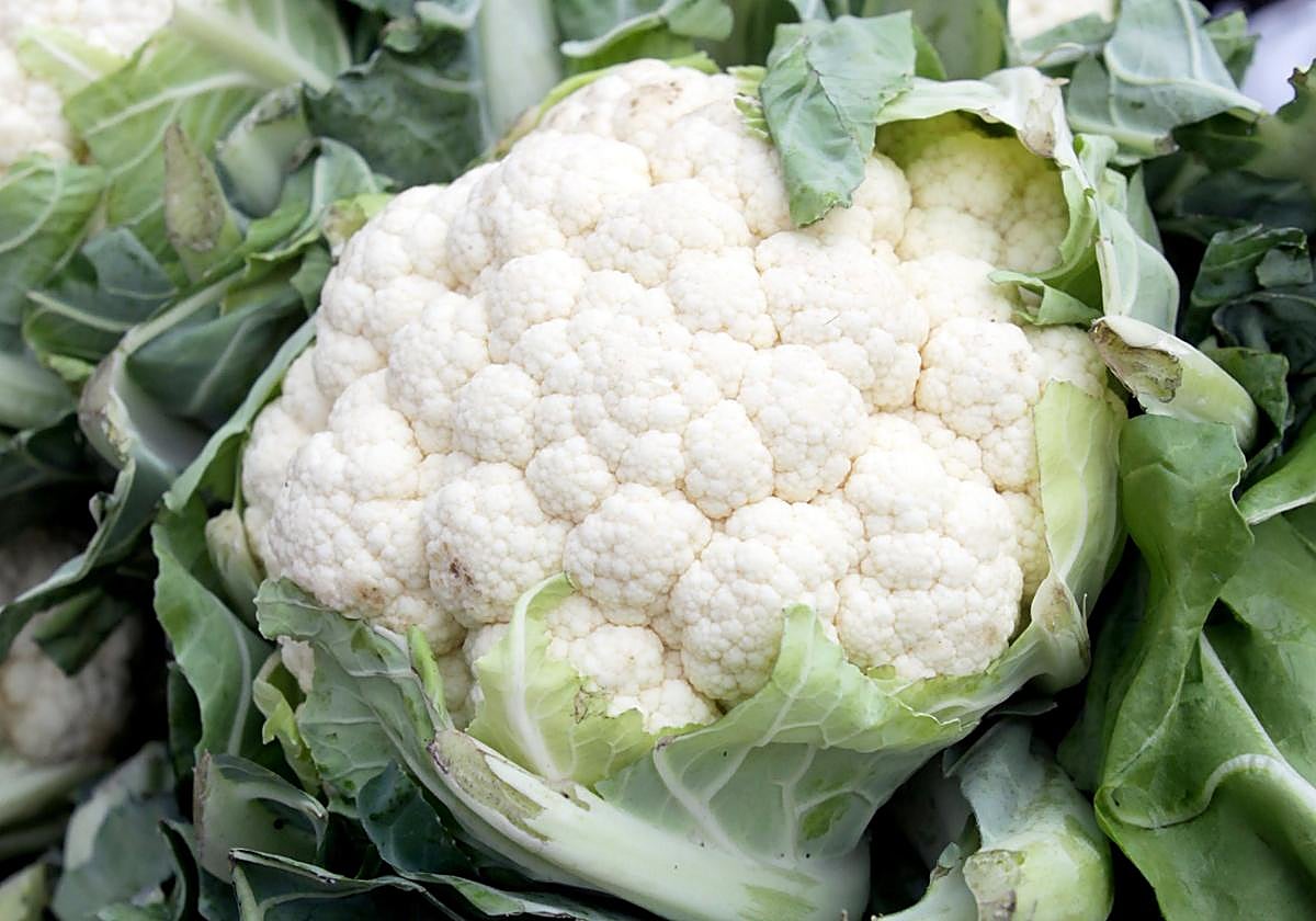 El 1 de noviembre comenzará la campaña de la coliflor.