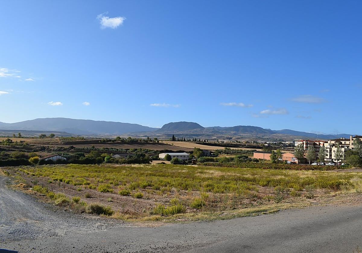 La parcela en la que se ha proyectado el campo de fútbol en la mañana de ayer, ya sin viñedo, entre los caminos de la Comisaria y de la Solana.