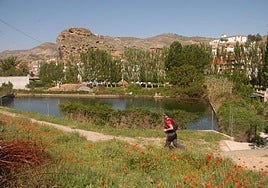 Camino Verde al llegar a Cervera.