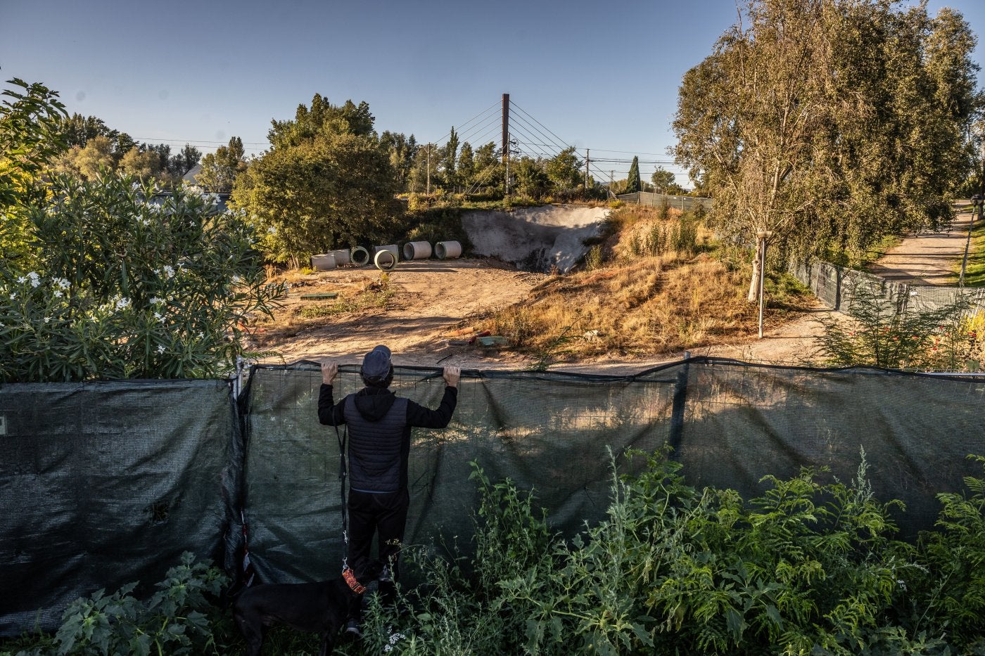 Un ciudadano se asoma para contemplar las suspendidas obras del emisario del Bajo Iregua a la altura del puente de Varea.