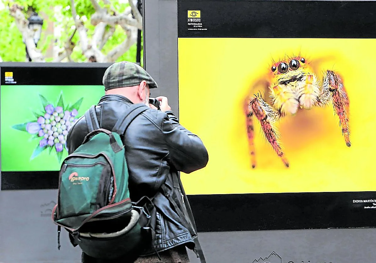 Convocado el concurso de fotografías para los calendarios de Quel del año 2026
