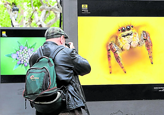 Convocado el concurso de fotografías para los calendarios de Quel del año 2026