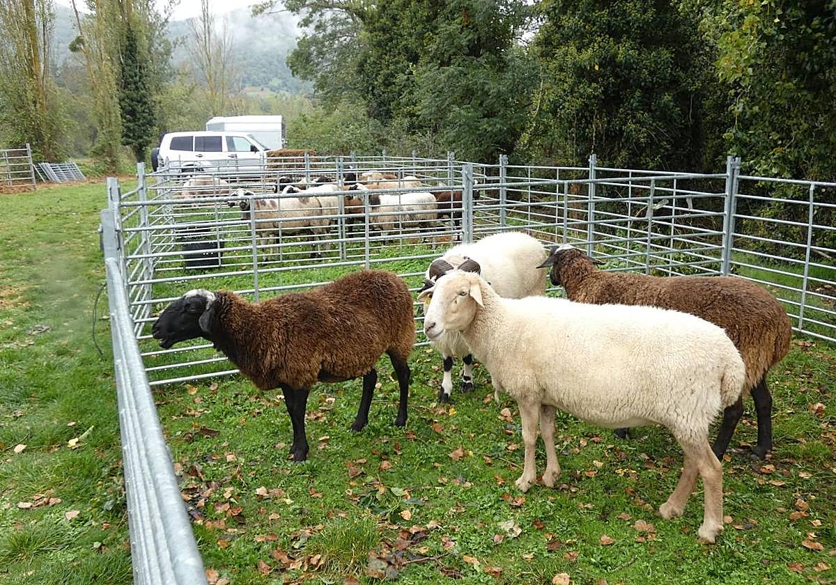 Imagen de archivo de la pasada edición.