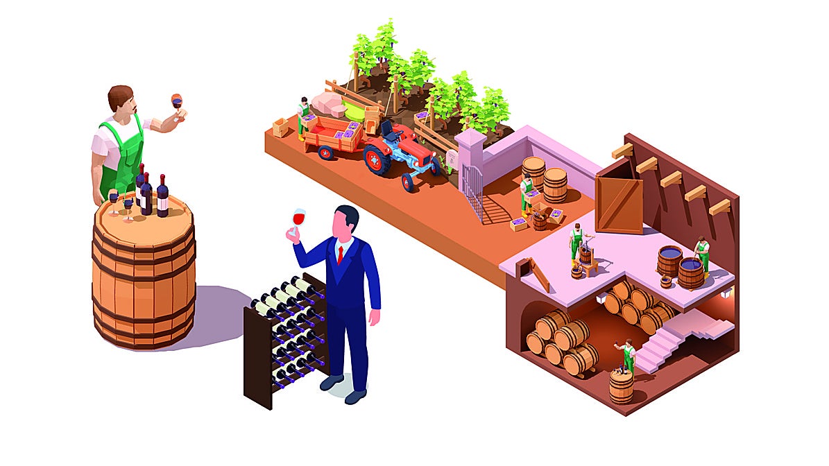 Cómo se hace vino: la guía definitiva