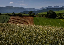 Una PAC fuerte para las nuevas prioridades
