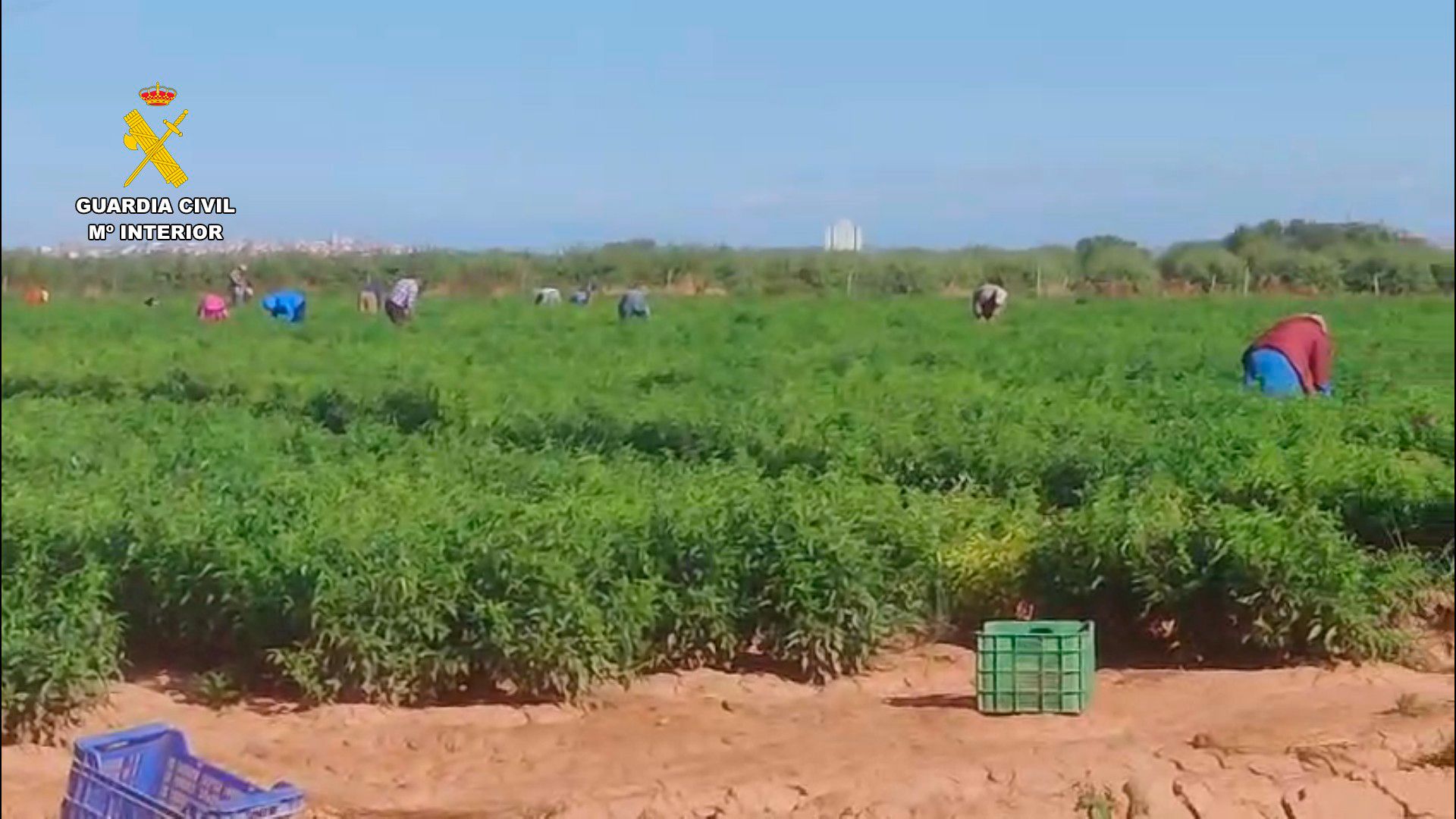 Las imágenes de la operación contra la explotación laboral en La Rioja Baja