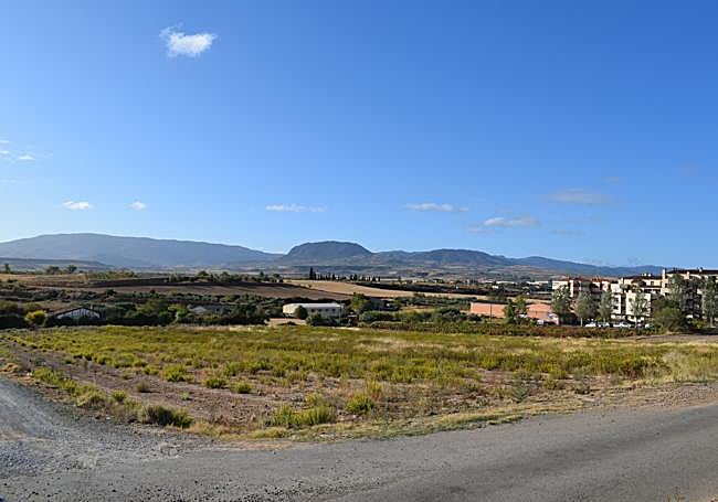 El terreno en el que se proyecta construir el campo de fútbol de Villamediana.