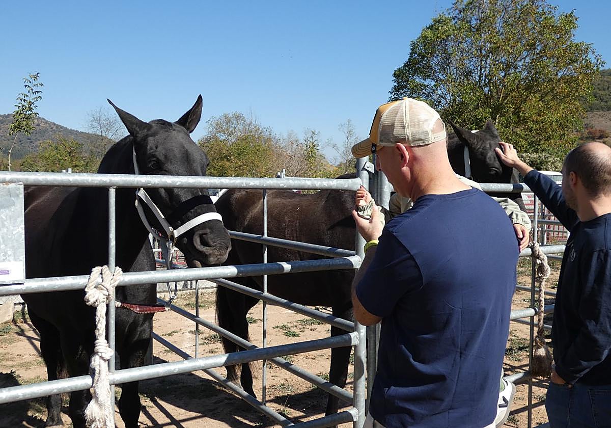 XXI Feria Ganadera y Artesanía Agroalimentaria de Ojacastro