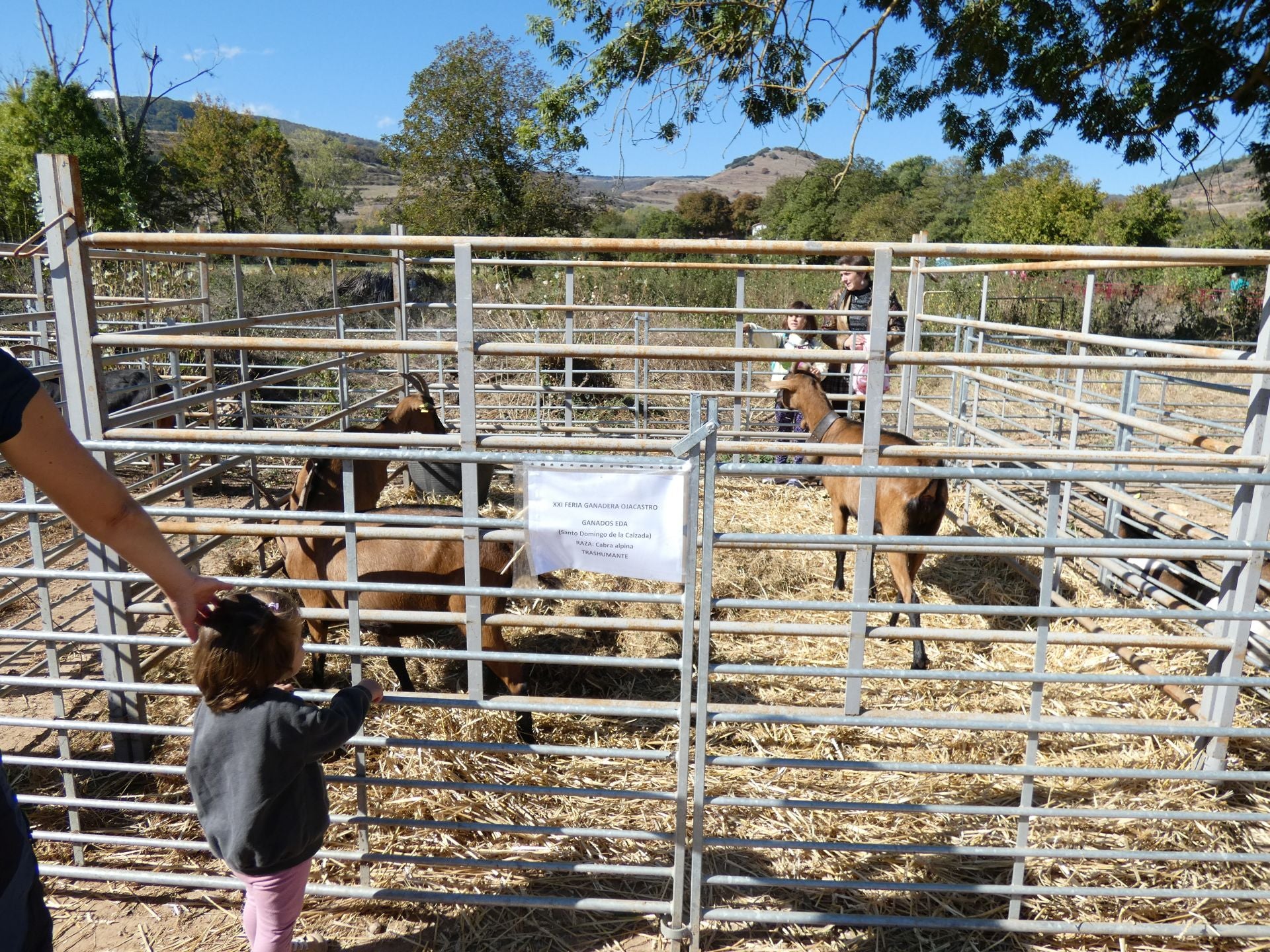 XXI Feria Ganadera y Artesanía Agroalimentaria de Ojacastro