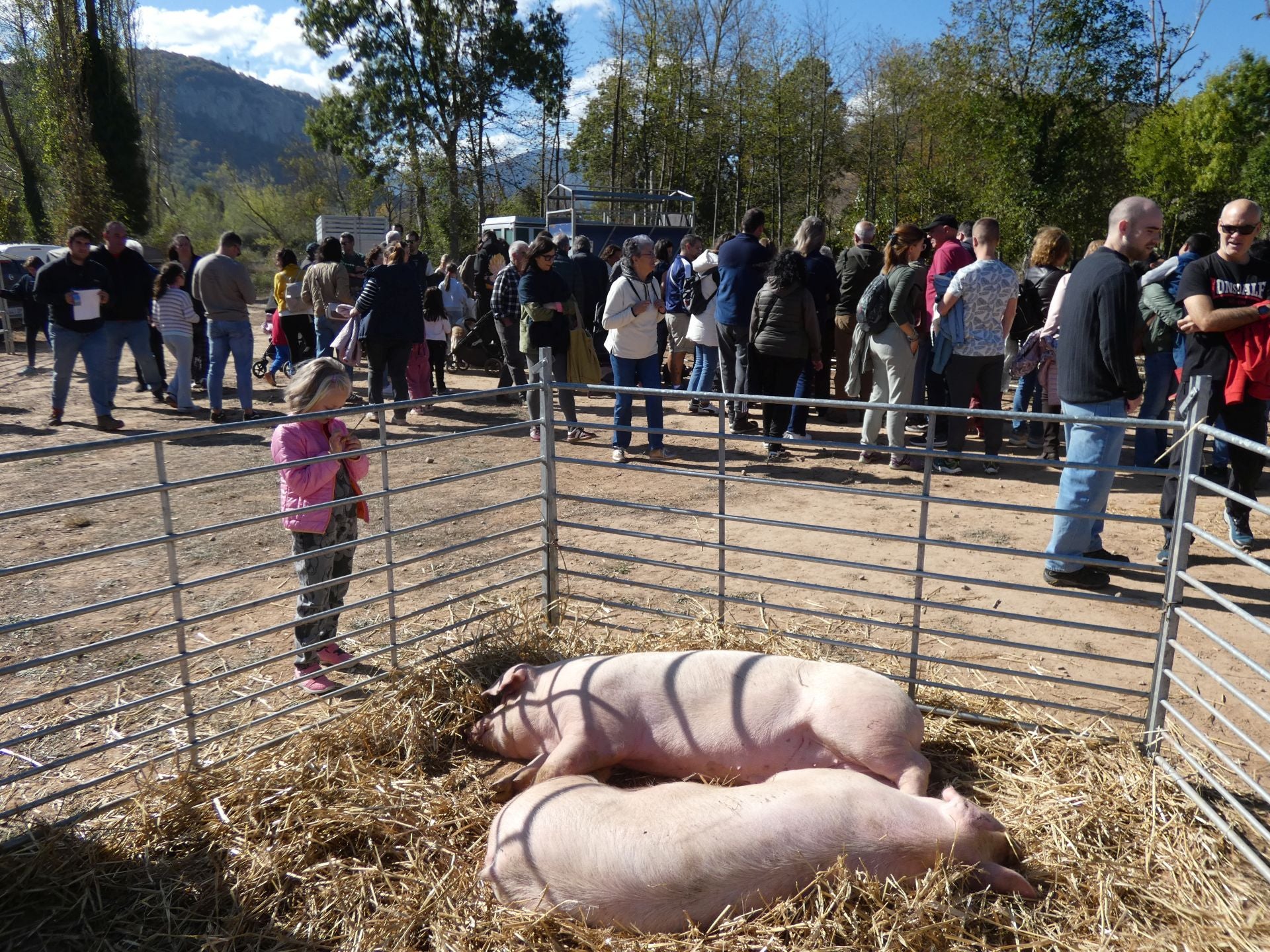 XXI Feria Ganadera y Artesanía Agroalimentaria de Ojacastro