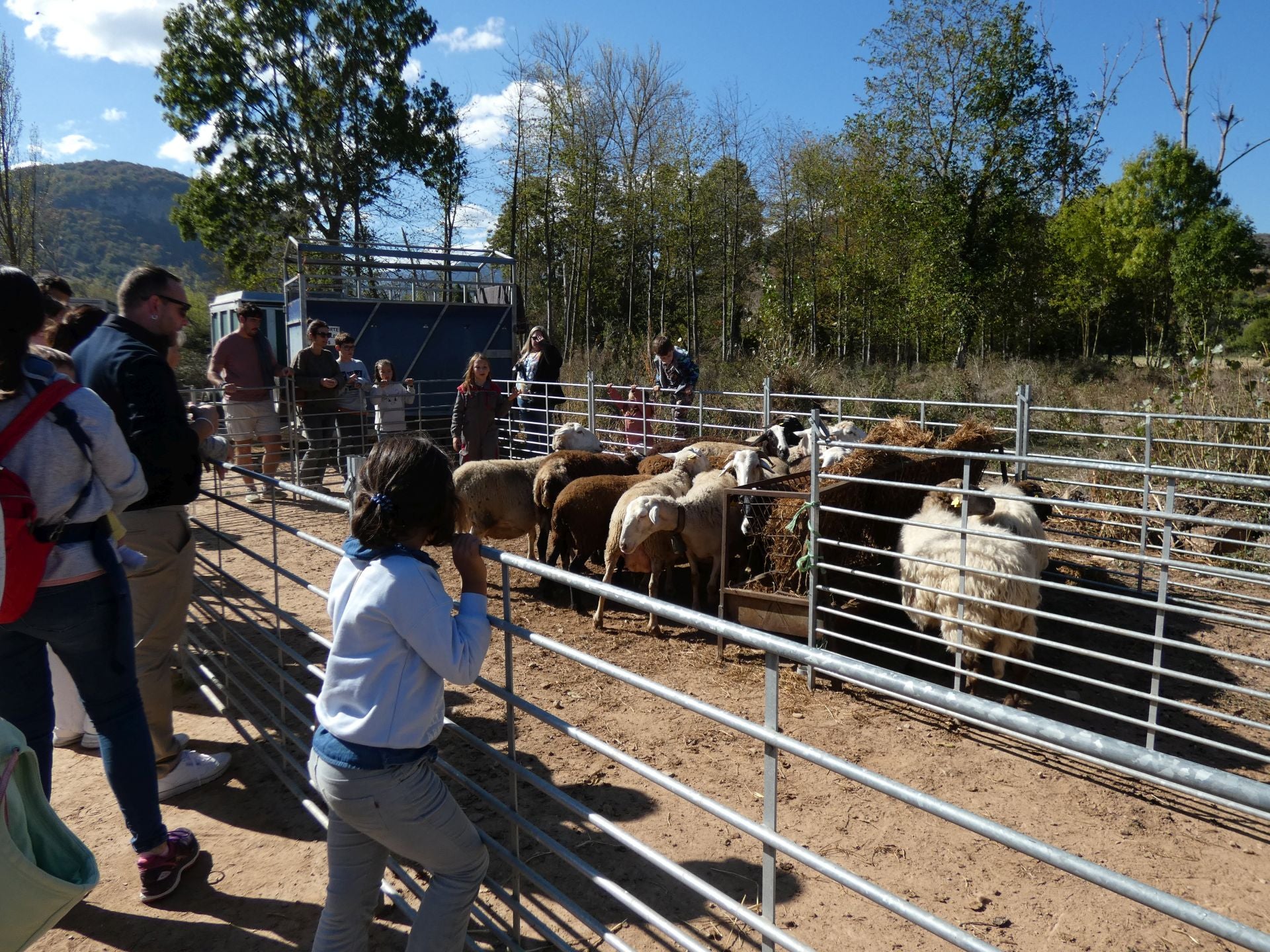 XXI Feria Ganadera y Artesanía Agroalimentaria de Ojacastro