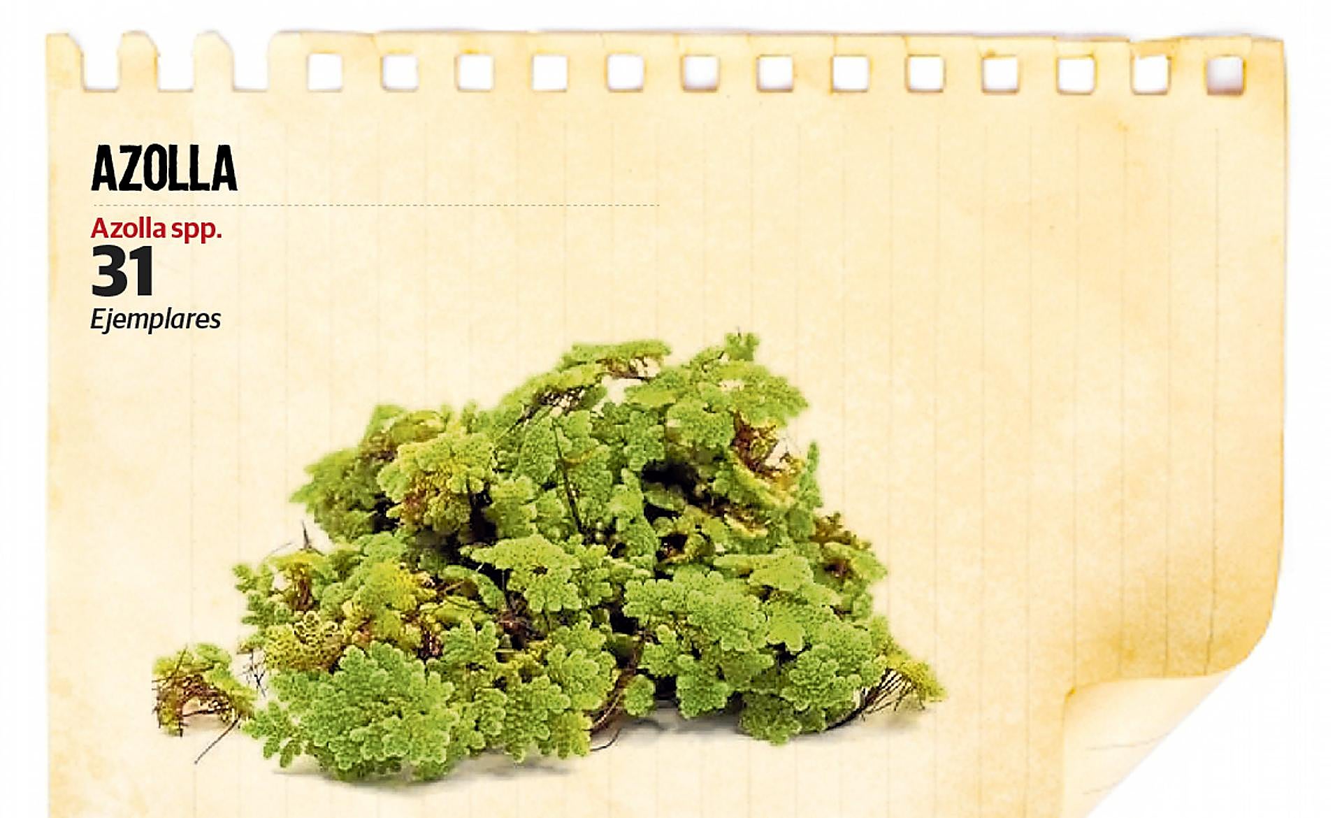 Scroll Story imagen 2