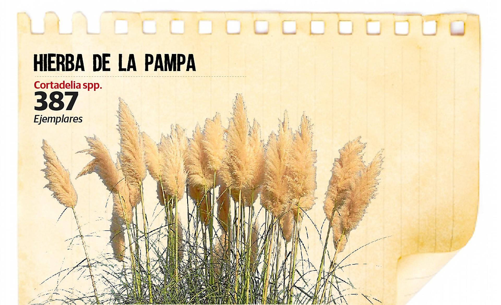 Scroll Story imagen 1