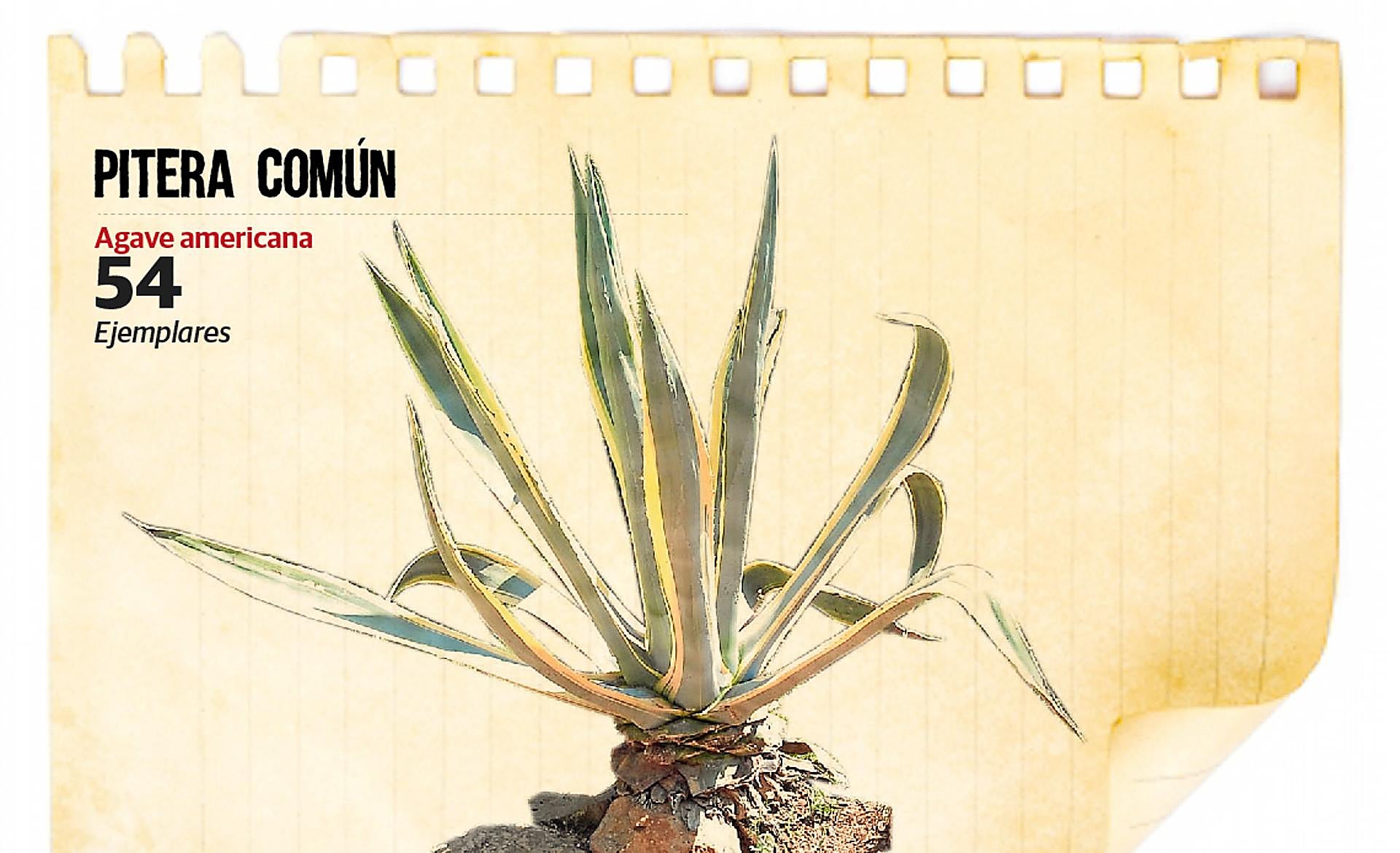 Scroll Story imagen 3