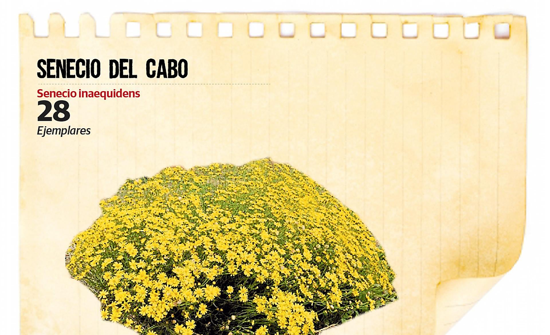 Scroll Story imagen 3