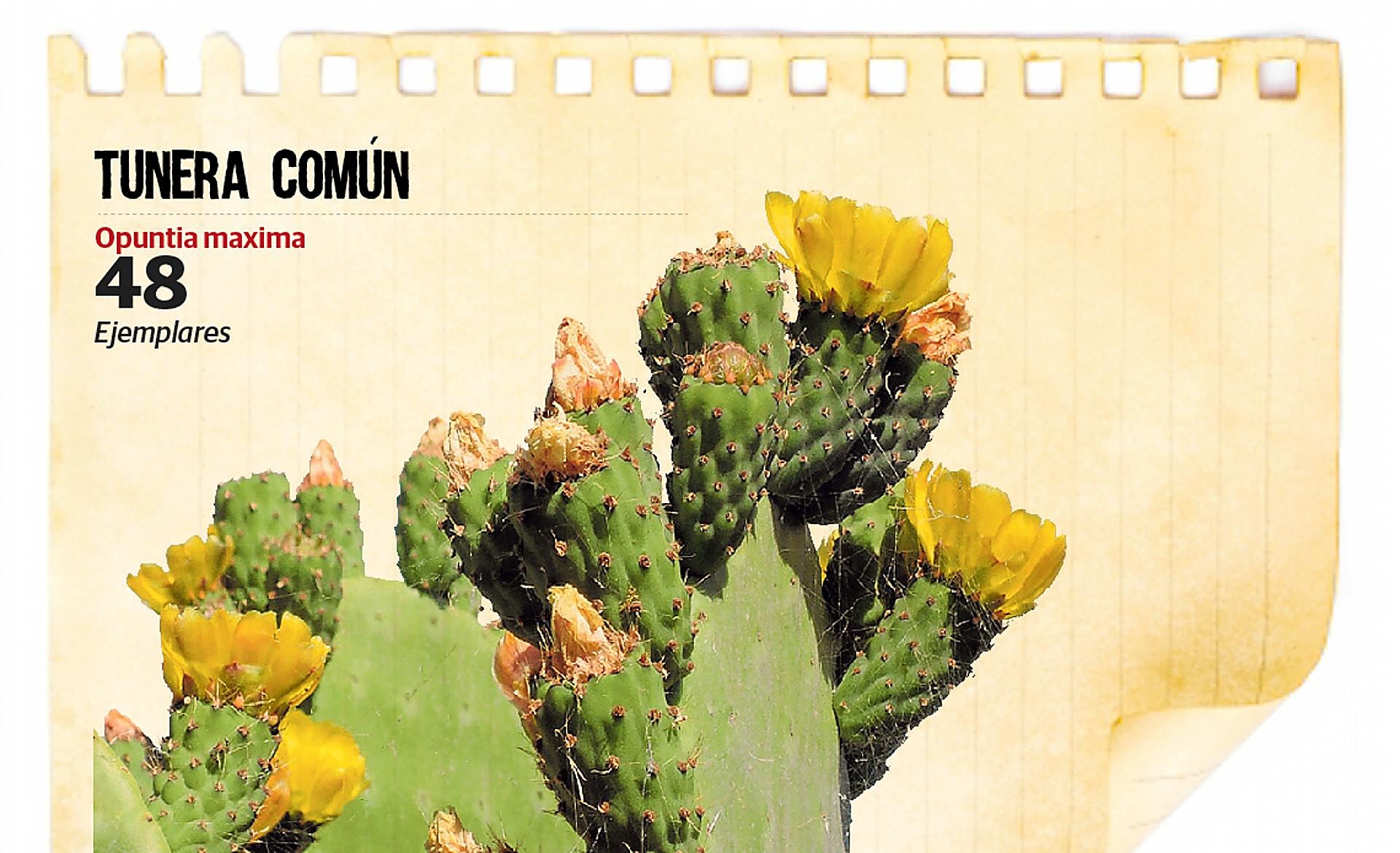 Scroll Story imagen 4