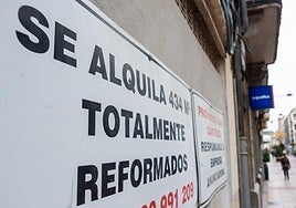 Local comercial en alquiler.