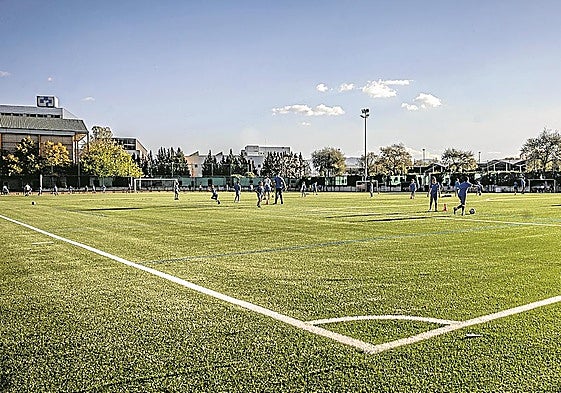 Panorámica del nuevo campo de La Estrella.