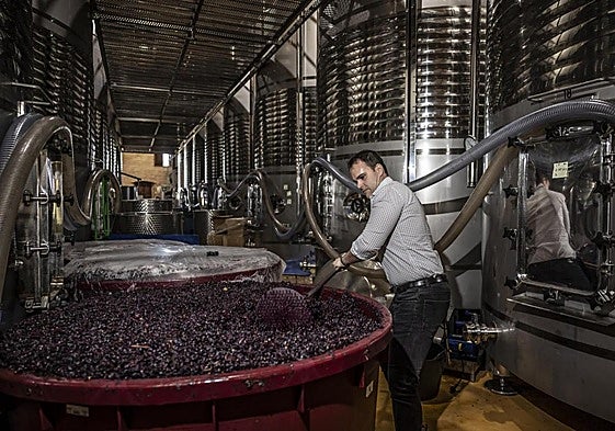 José Luis Heras, en la bodega con sus vinos.