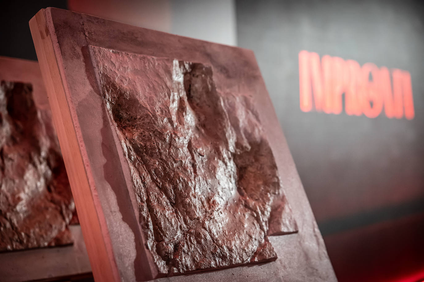 Las imágenes de los Premios Impronta