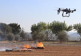 Dron Agras T25 utilizado para pulverizar un producto que funciona de cortafuegos en los incendios.