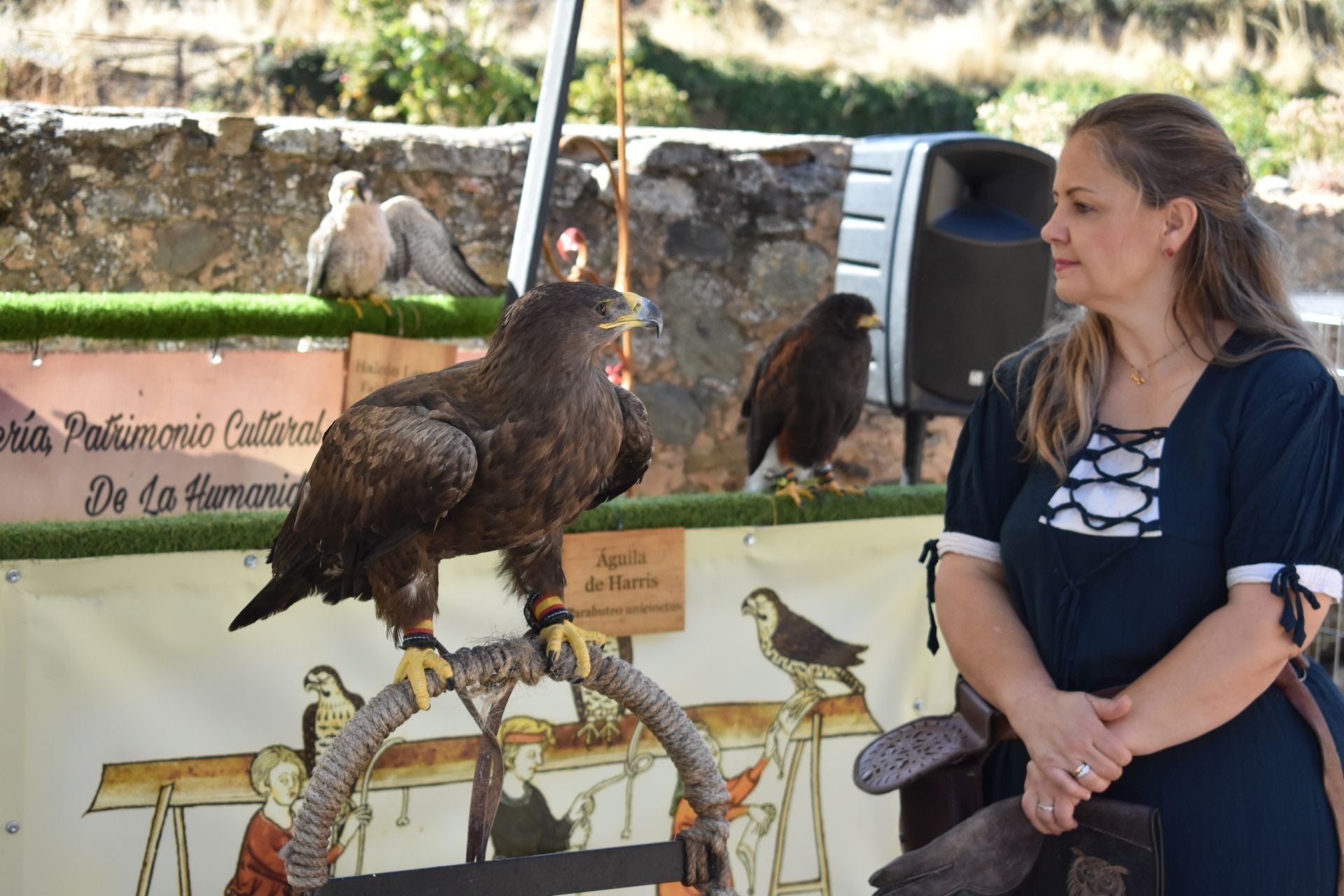 Las Jornadas Medievales de Cornago, en imágenes